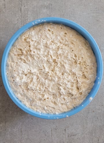 dough in a blue bowl after refrigerated