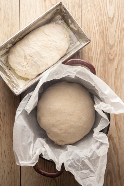The dough before rising.