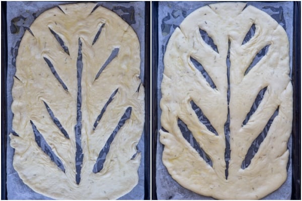 Fougasse before and after rising.